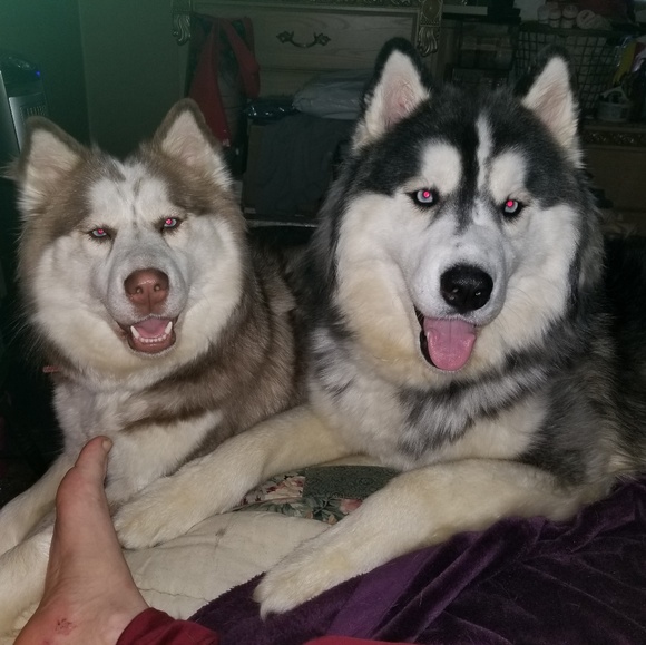 Meet your Posher, Jacquelyn - Picture 2 of 2